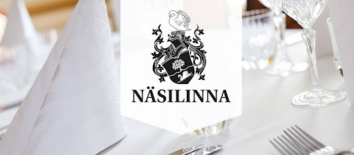 Kuvahaun tulos haulle näsilinna